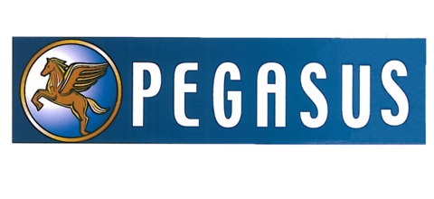 Logo Pegasus Bronze mit blauem Hintergrund